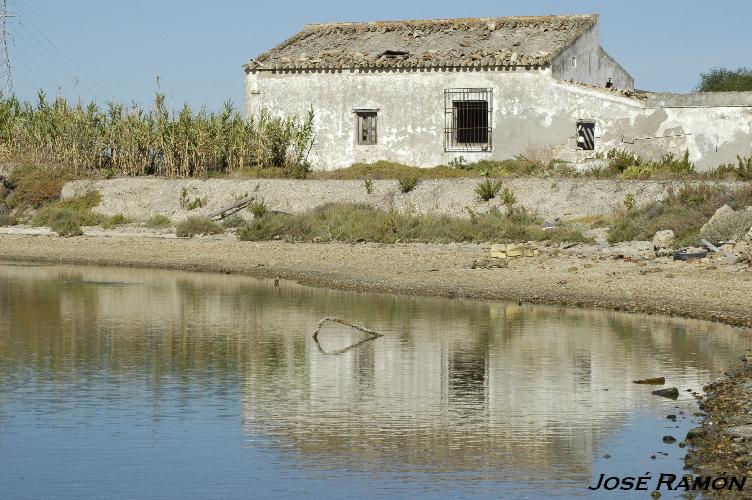 Foto de Puerto Real (Cádiz), España