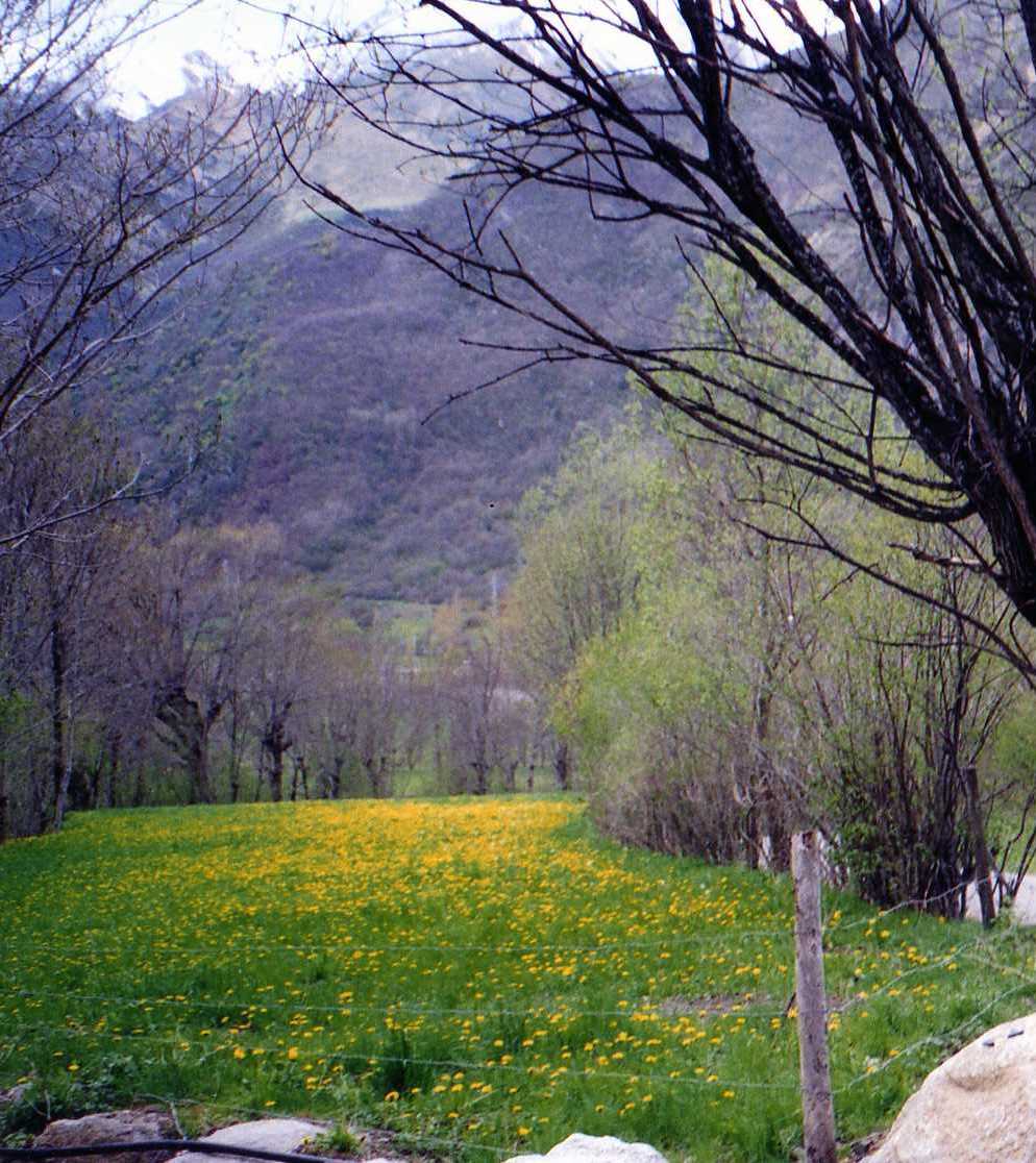 Foto de Vall de Boi (Lleida), España