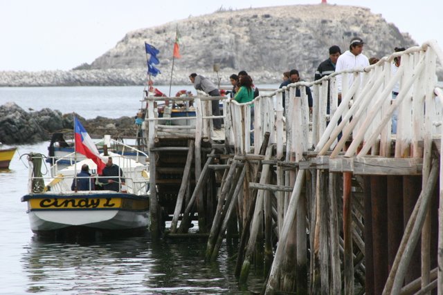 Foto de Algarrobo, Chile