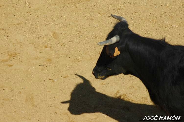 Foto de Jerez de la Frontera (Cádiz), España