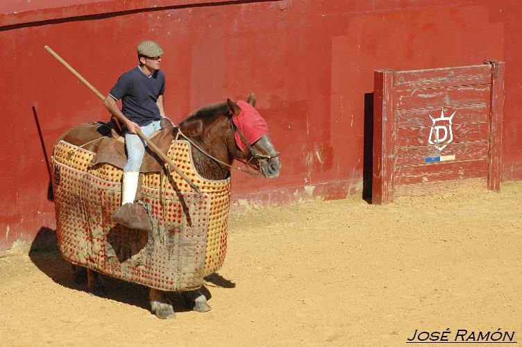 Foto de Jerez de la Frontera (Cádiz), España