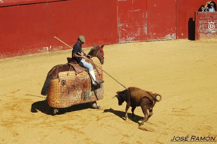 Foto de Jerez de la Frontera (Cádiz), España