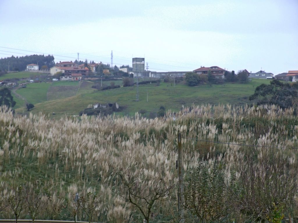 Foto de Revilla (Cantabria), España