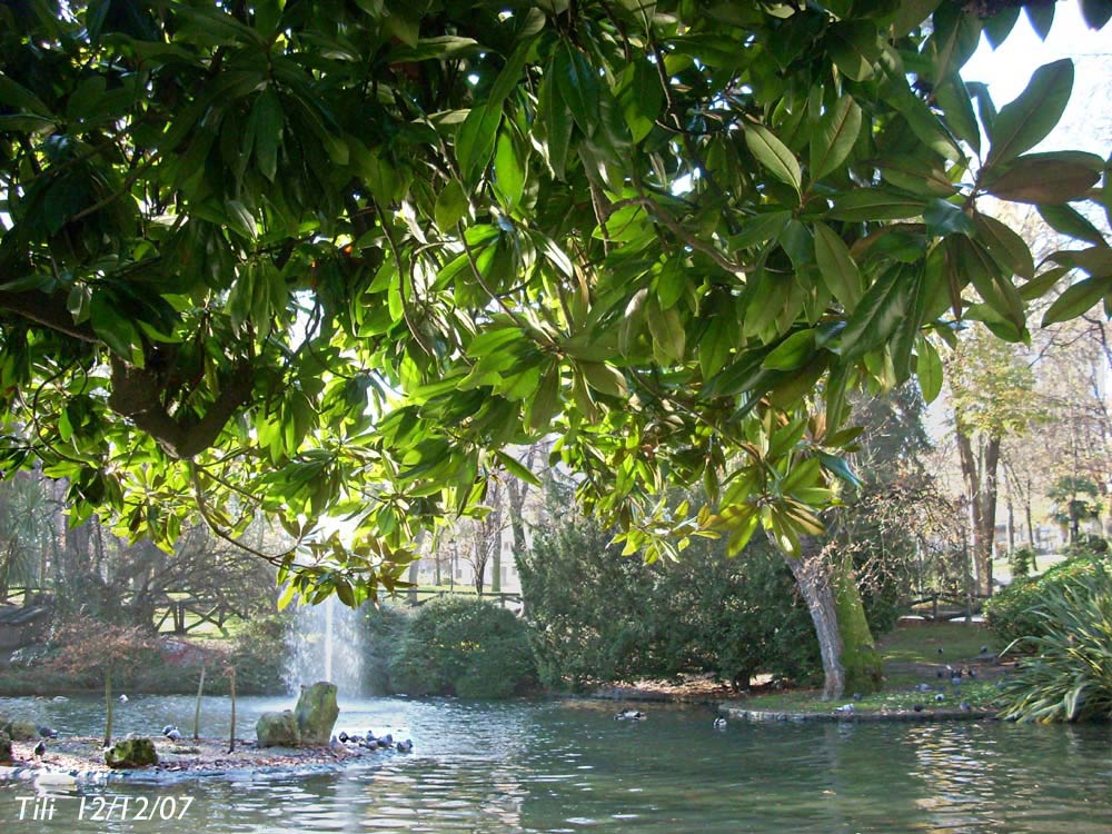 Foto de Oviedo (Asturias), España