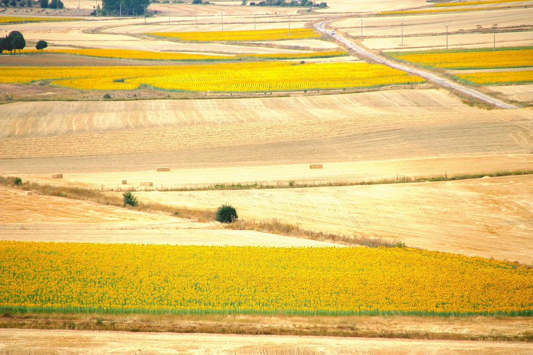 Foto de Calatañazor (Soria), España