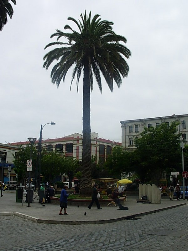 Foto de Valparaiso, Chile