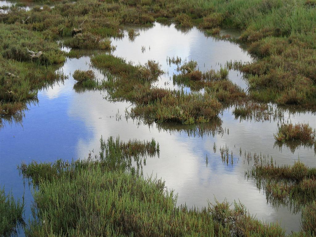 Foto de Puerto Real (Cádiz), España