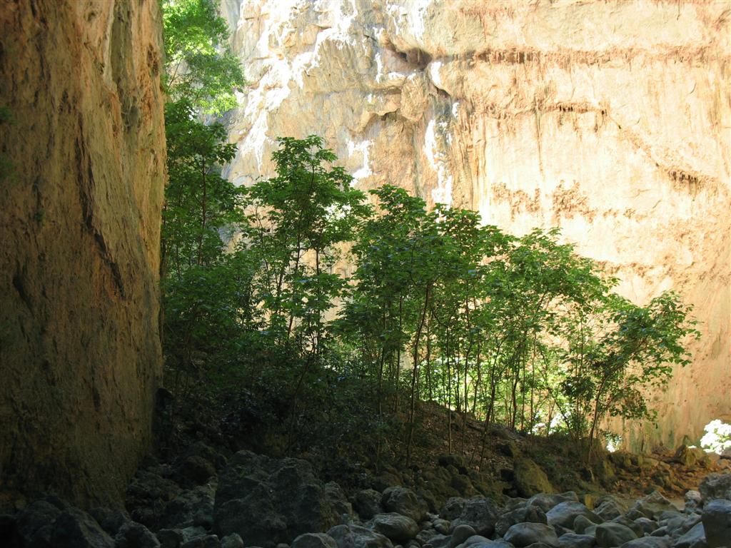 Foto de Zahara de la Sierra (Cádiz), España