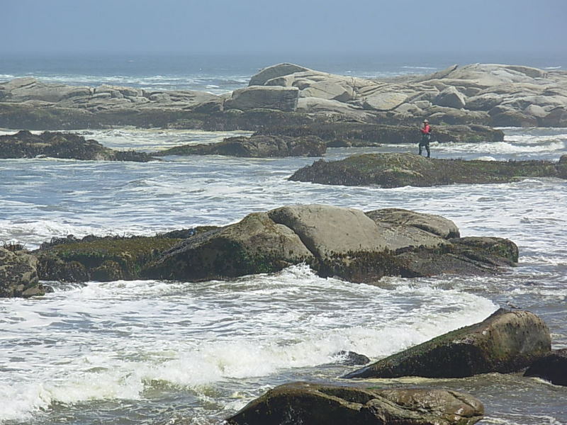 Foto de Maitencillo, Chile