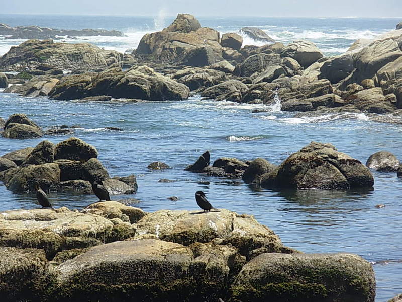 Foto de Maitencillo, Chile