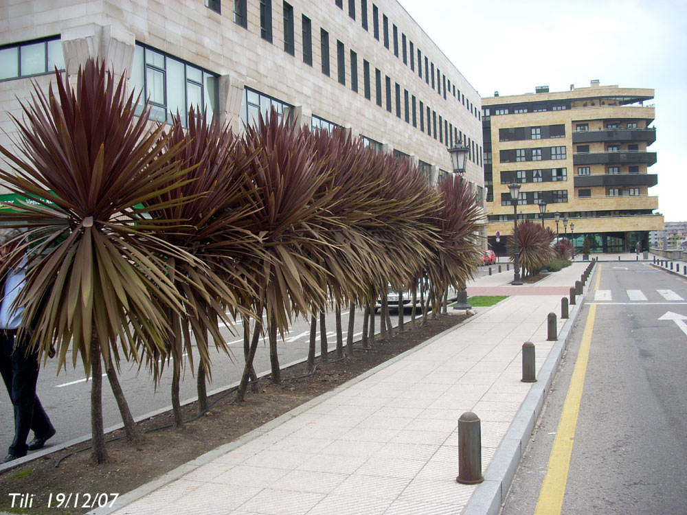 Foto de Oviedo (Asturias), España