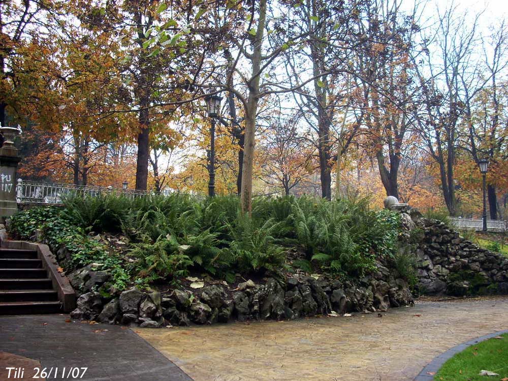 Foto de Oviedo (Asturias), España