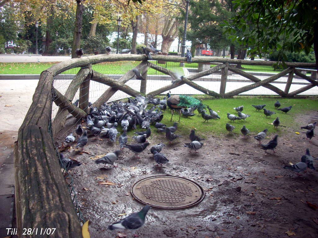 Foto de Oviedo (Asturias), España