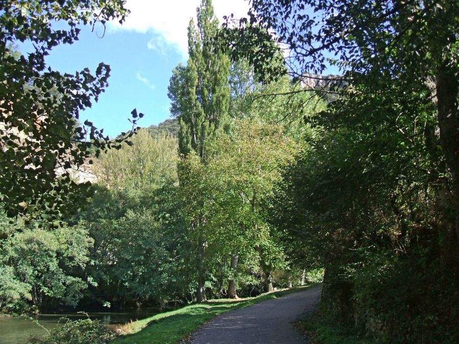 Foto de Villaescusa de Ebro (Cantabria), España