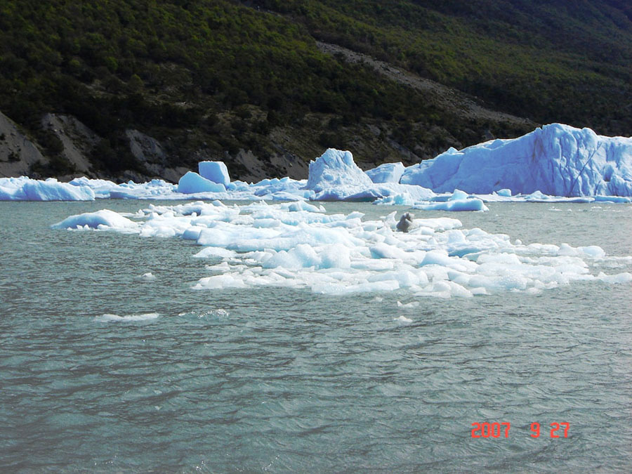 Foto de El Calafate, Santa Cruz., Argentina