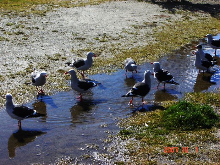 Foto de Ushuaia, Tierra del Fuego, Argentina