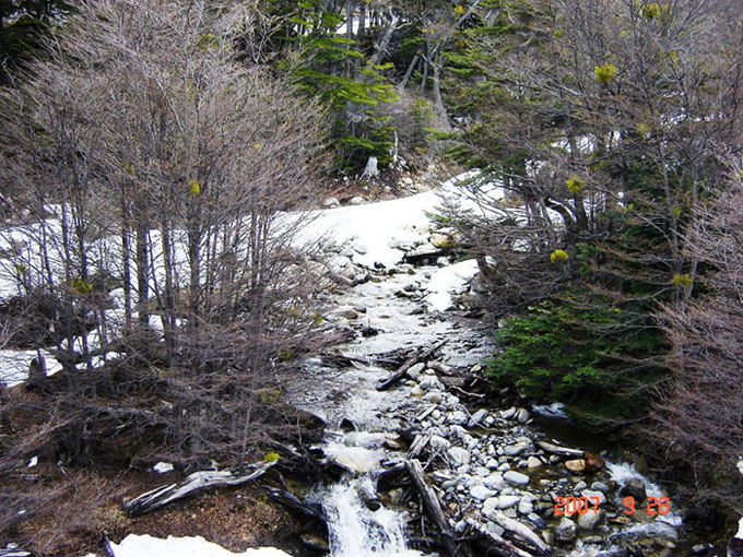 Foto de Ushuaia, Tierra del Fuego, Argentina