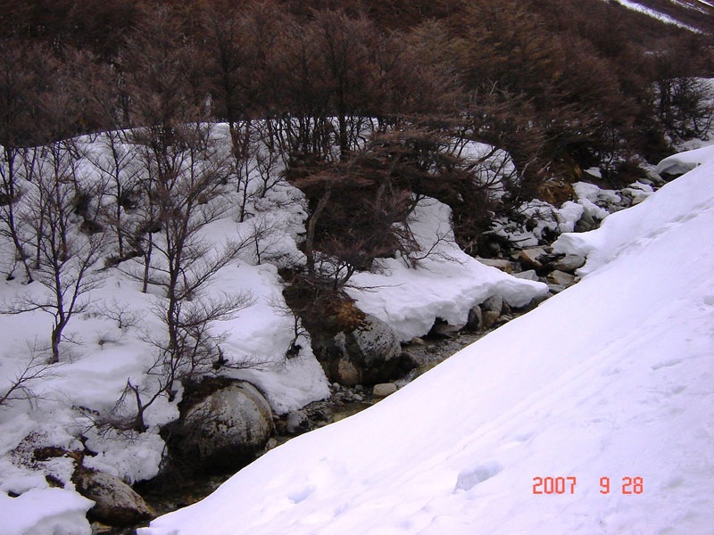 Foto de Ushuaia, Tierra del Fuego, Argentina