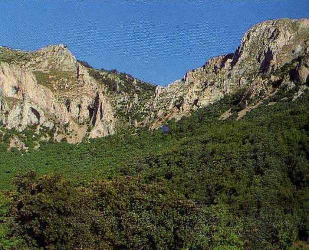 Foto de Quejigos (Navarra), España