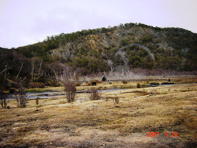 Foto de Ushuaia, Tierra del Fuego, Argentina