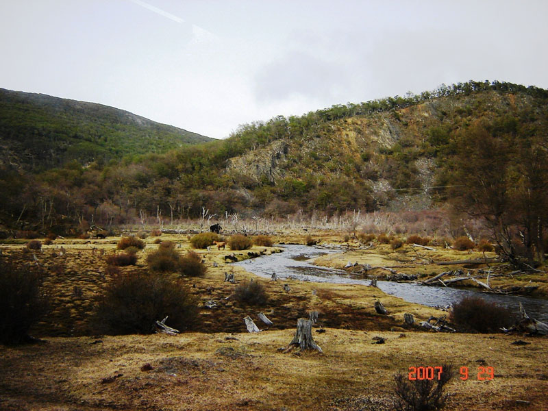 Foto de Ushuaia, Tierra del Fuego, Argentina