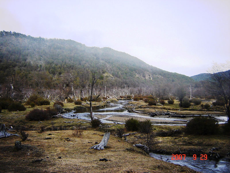 Foto de Ushuaia, Tierra del Fuego, Argentina