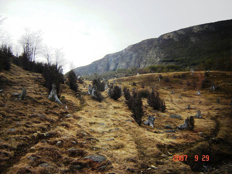 Foto de Ushuaia, Tierra del Fuego, Argentina