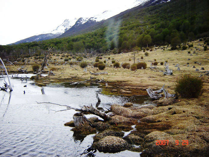 Foto de Ushuaia, Tierra del Fuego, Argentina