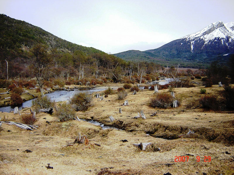 Foto de Ushuaia, Tierra del Fuego, Argentina