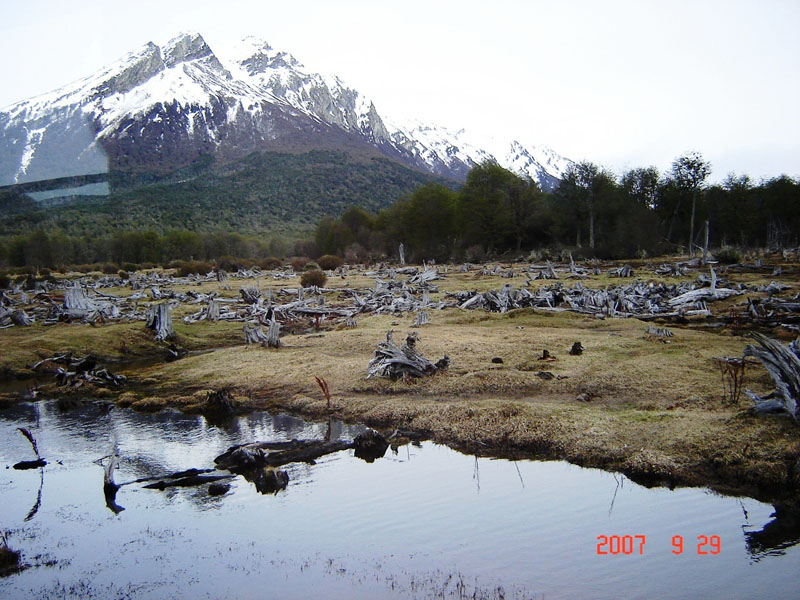 Foto de Ushuaia, Tierra del Fuego, Argentina