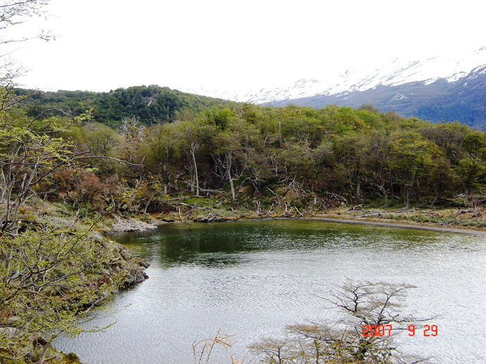 Foto de Ushuaia, Tierra del Fuego, Argentina