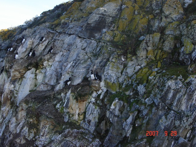 Foto de Ushuaia, Tierra del Fuego., Argentina