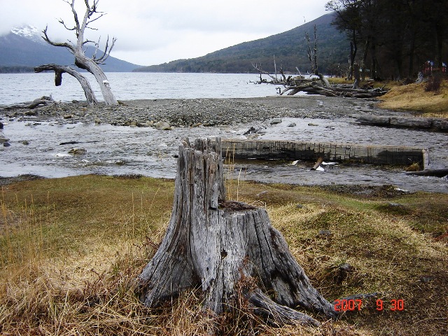 Foto de Ushuaia, Tierra del Fuego, Argentina