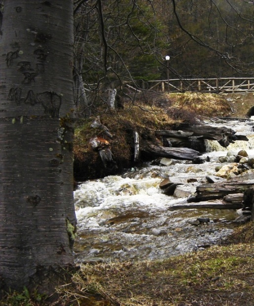 Foto de Ushuaia, Tierra del Fuego, Argentina