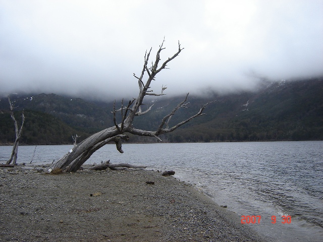 Foto de Ushuaia, Tierra del Fuego, Argentina