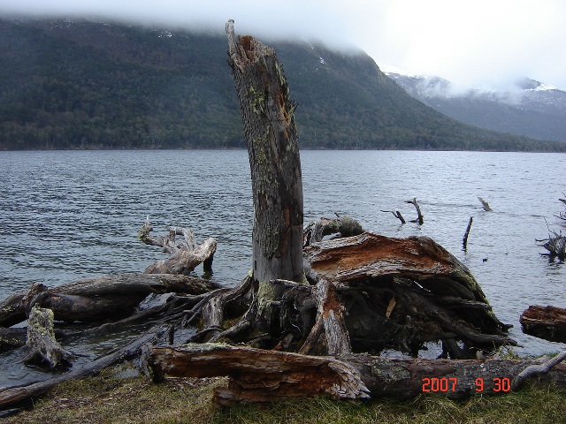 Foto de Ushuaia, Tierra del Fuego, Argentina