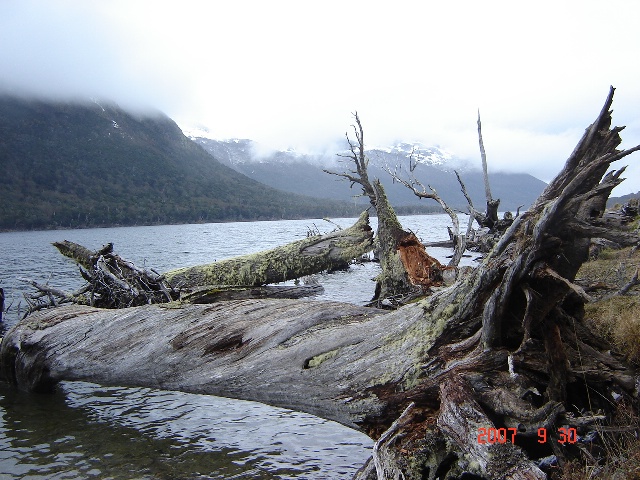 Foto de Ushuaia, Tierra del Fuego, Argentina