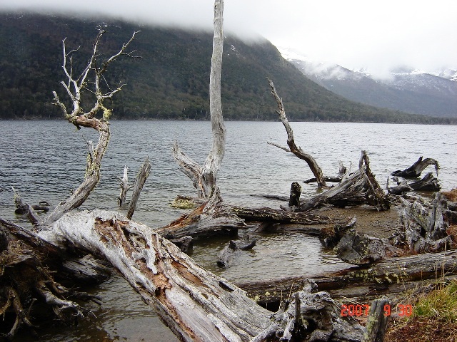 Foto de Ushuaia, Tierra del Fuego, Argentina