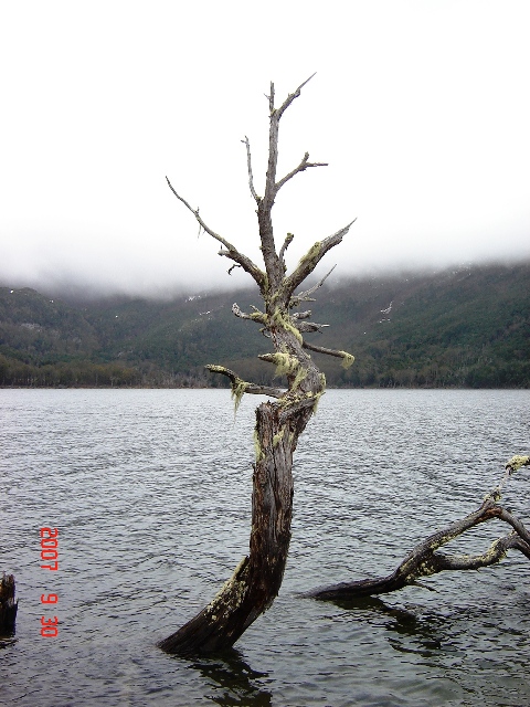 Foto de Ushuaia, Tierra del Fuego, Argentina