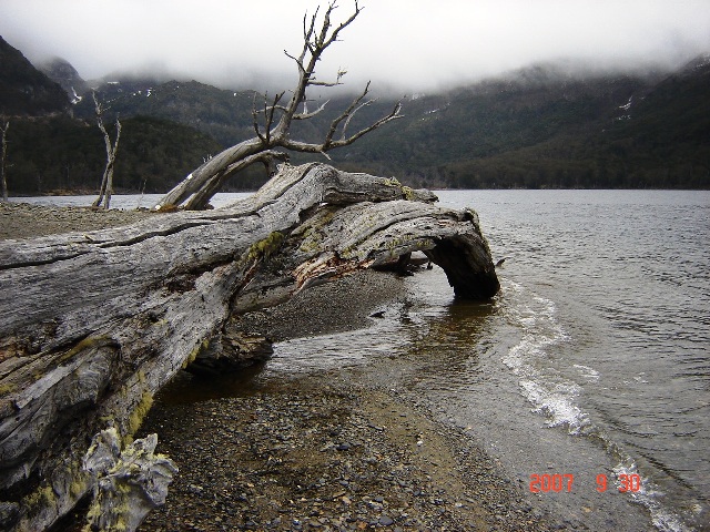 Foto de Ushuaia, Tierra del Fuego, Argentina