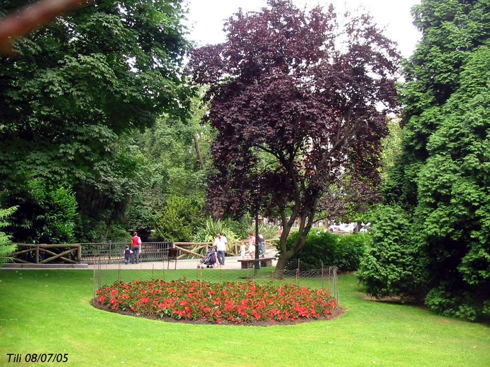 Foto de Oviedo (Asturias), España