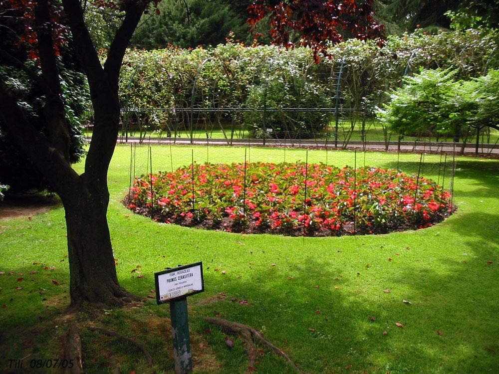 Foto de Oviedo (Asturias), España