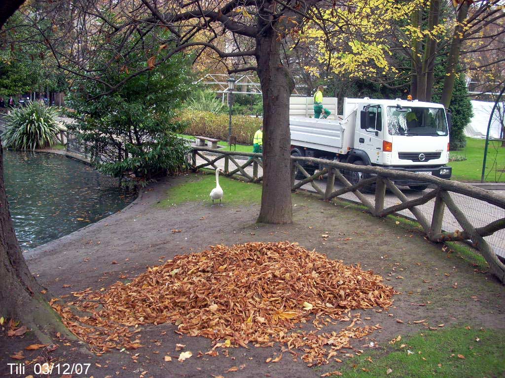 Foto de Oviedo (Asturias), España