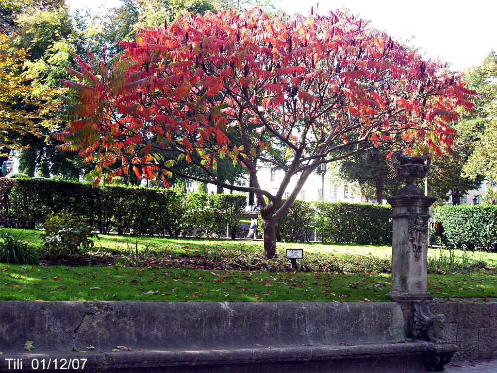 Foto de Oviedo (Asturias), España