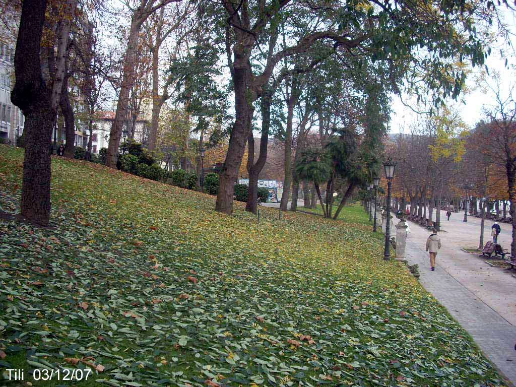 Foto de Oviedo (Asturias), España