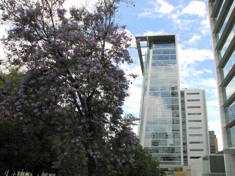 Foto de Santiago, Chile