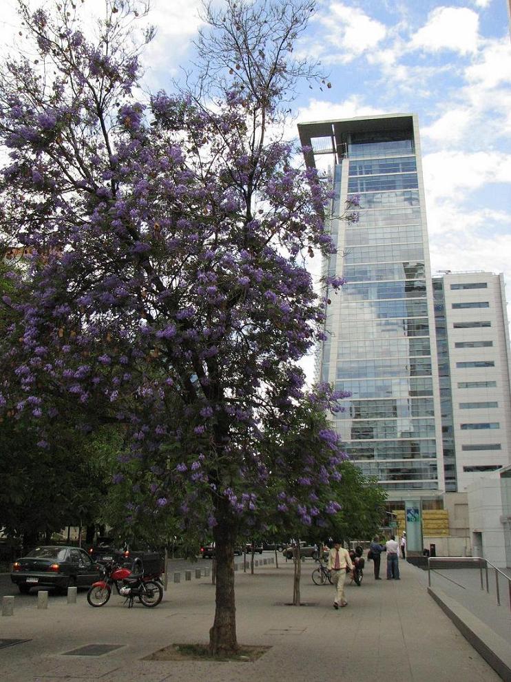 Foto de Santiago, Chile