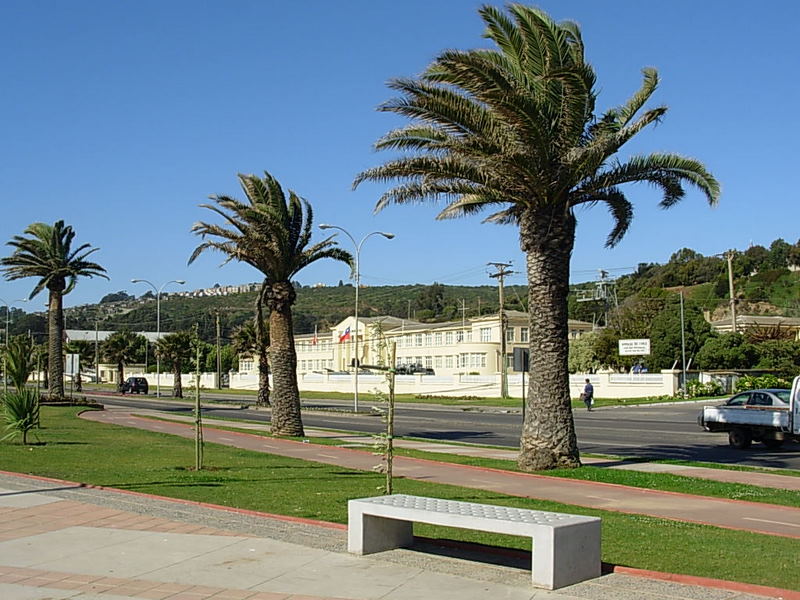 Foto de Viña del Mar, Chile