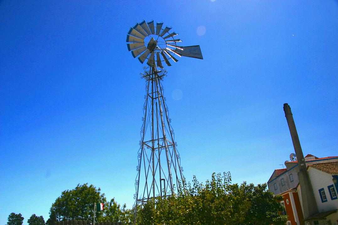 Foto de Sobreiro, Portugal