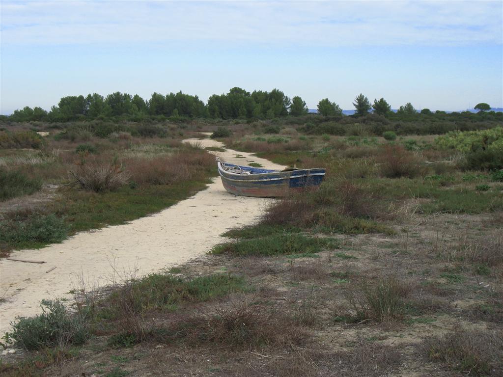 Foto de Puerto Real (Cádiz), España